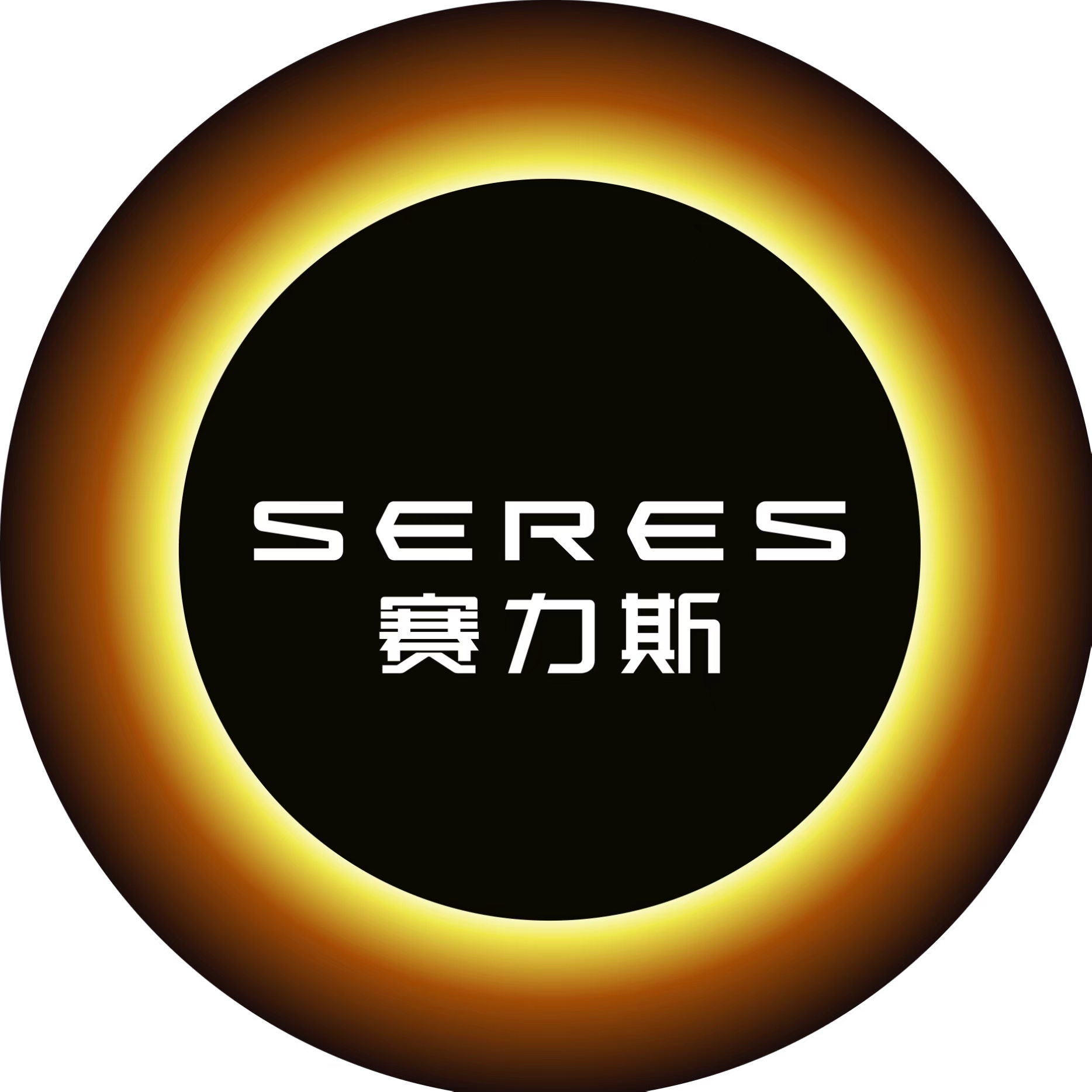 赛力斯集团股份有限公司