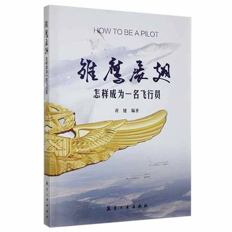 雏鹰展翅:怎样成为一名飞行员