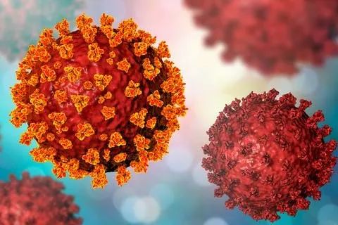  p>voc-202012/01(曾被命名为vui – 202012/01),变异新冠病毒.