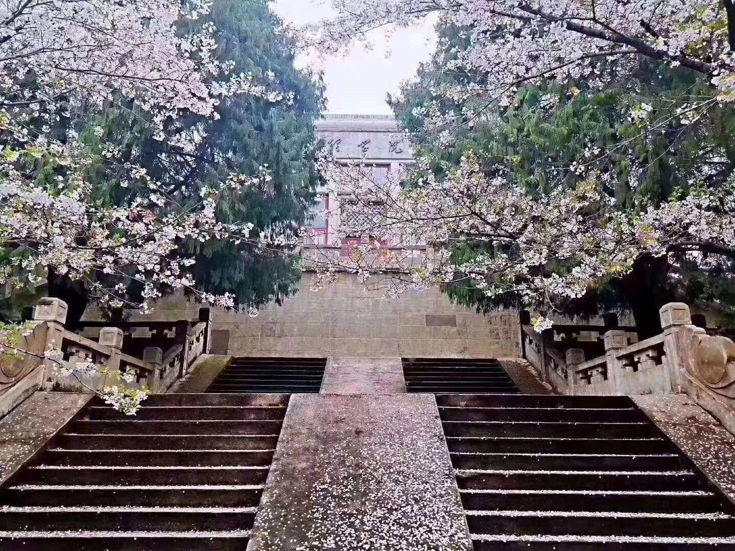 人ѧԺУַʲôط_人ѧԺУֲ_人ѧѧԺַ