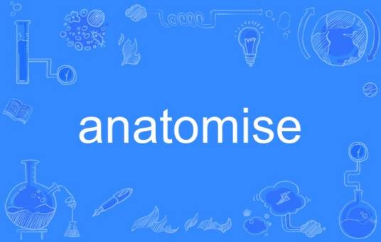 anatomise_百度百科
