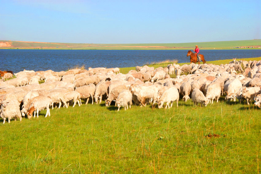  p>游牧业( a href="#" data-lemmaid="1126396