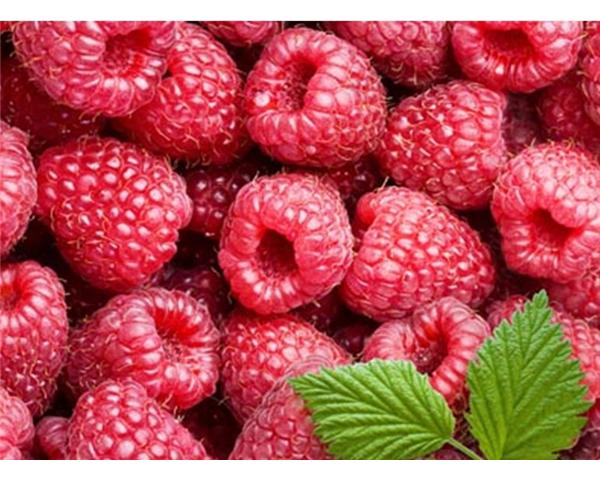 target="_blank" href="/item/尚志市/179029" data-lemmaid