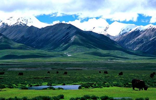 西藏自治区羌塘国家级自然保护区