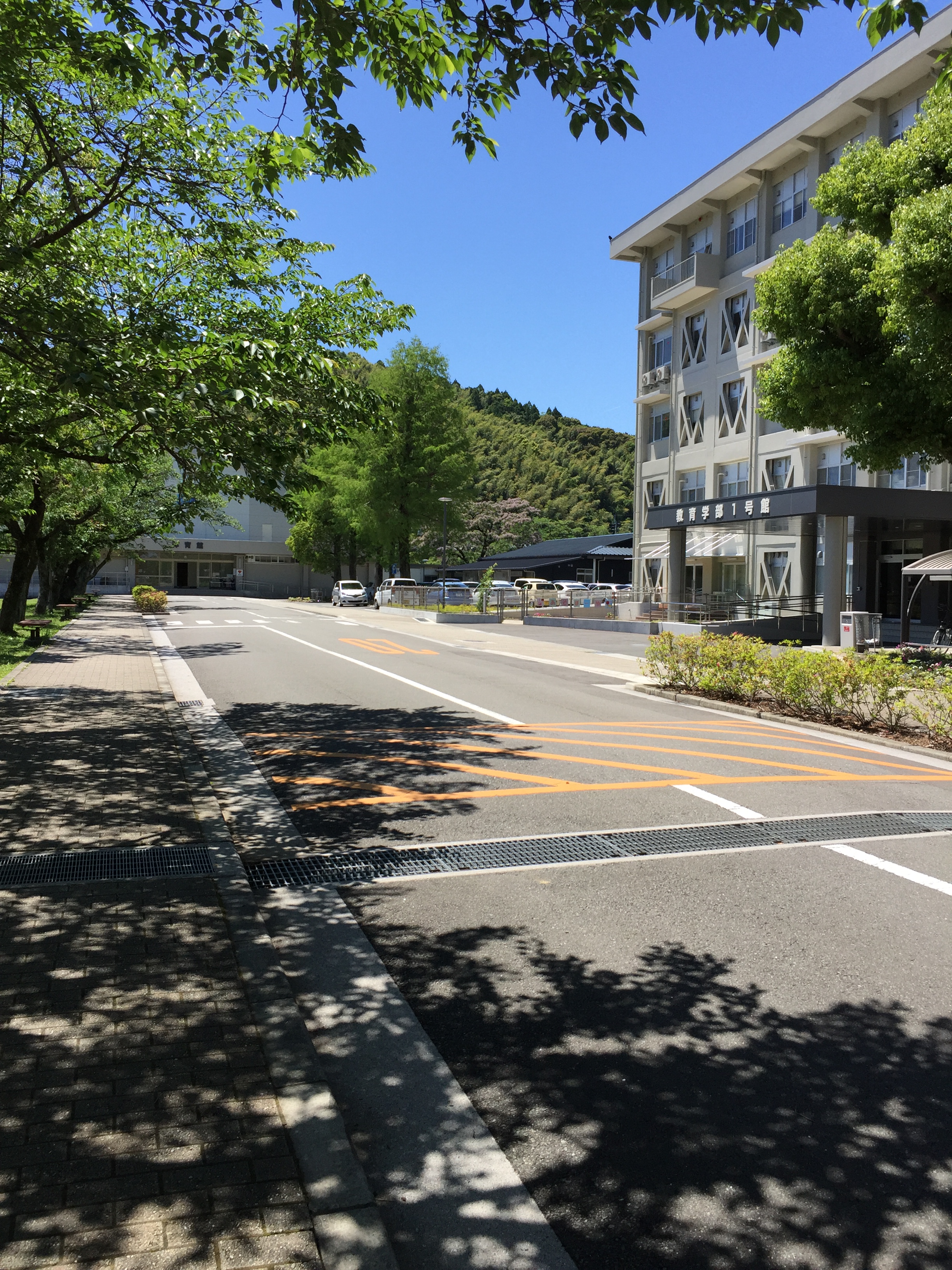  p>高知大学(日文平假名:こうちだいがく;英文:kochi university),于