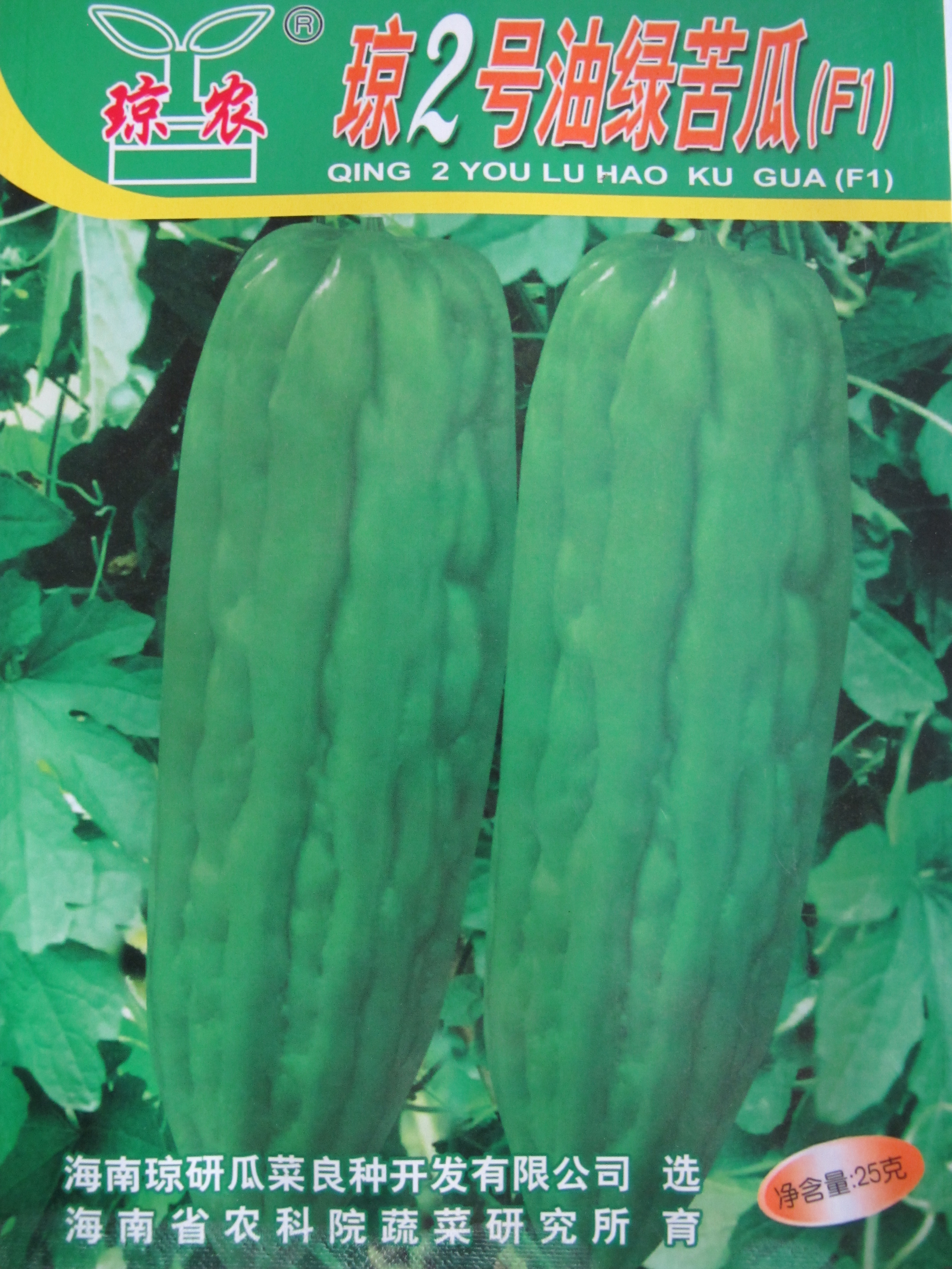 品质优,既适合岛内销售,也可供北运和出口港澳,为海南最优良苦瓜品种