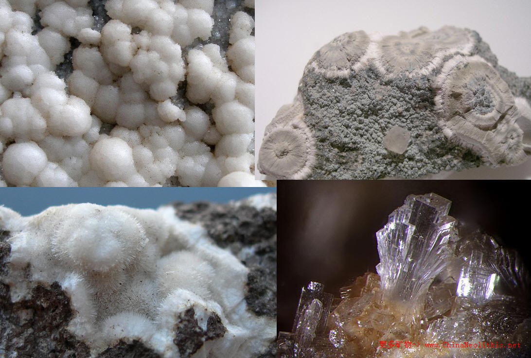  p>杆沸石是 a href="#" data-lemmaid="1529486">沸石 /a>中比较少见