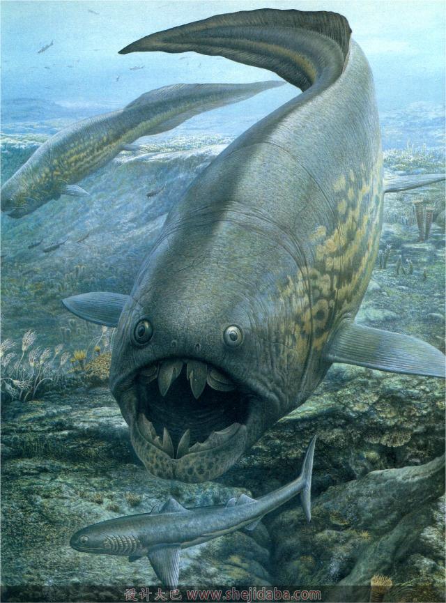  p>邓氏鱼(dunkleosteus terrelli),是一种活于泥盆纪时代(距今约3.