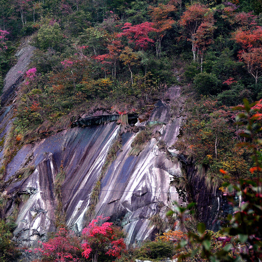 金铙山原名大历山,又名太弋山,位于福建省三明市泰宁县和三明市建宁县