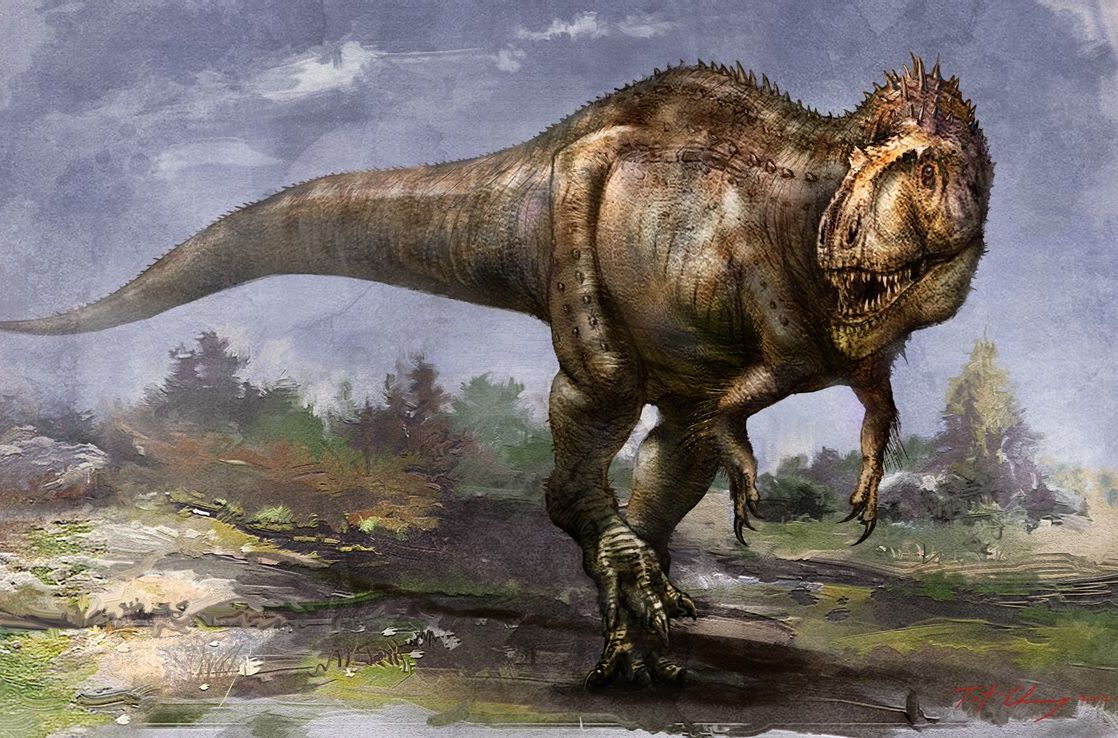  p>中华盗龙(属名:sinraptor)是 a href="#"