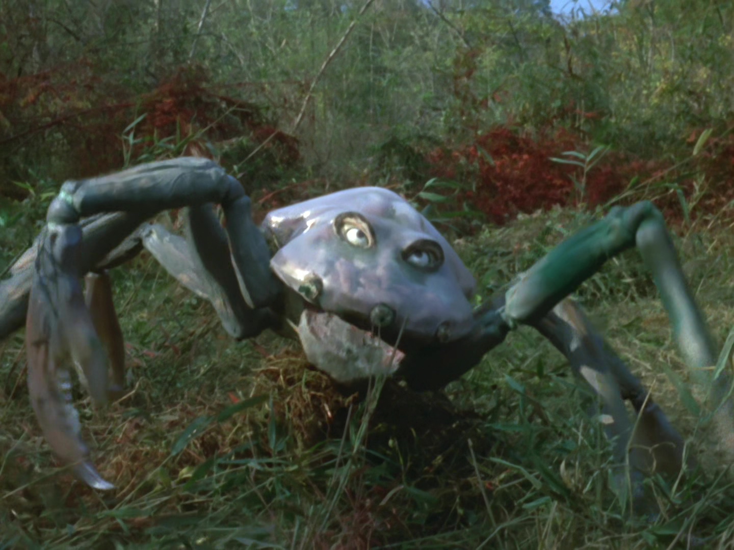 宇宙蜘蛛古蒙加