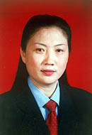 原全琴