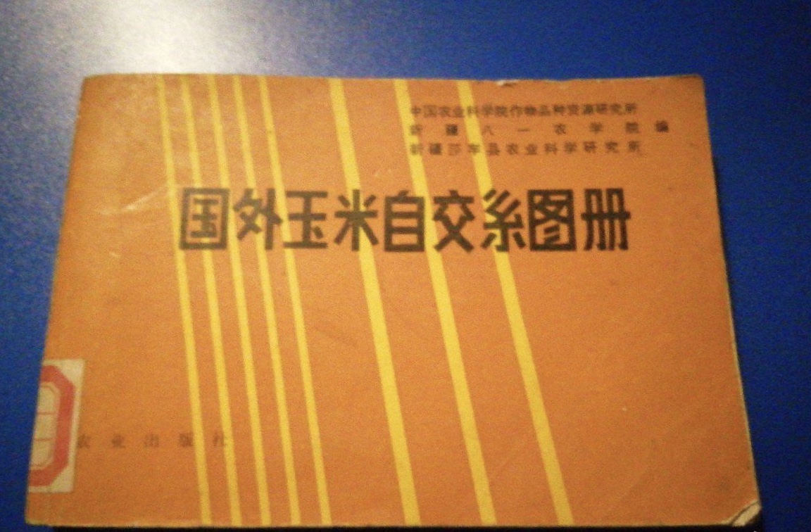 国外玉米自交系图册