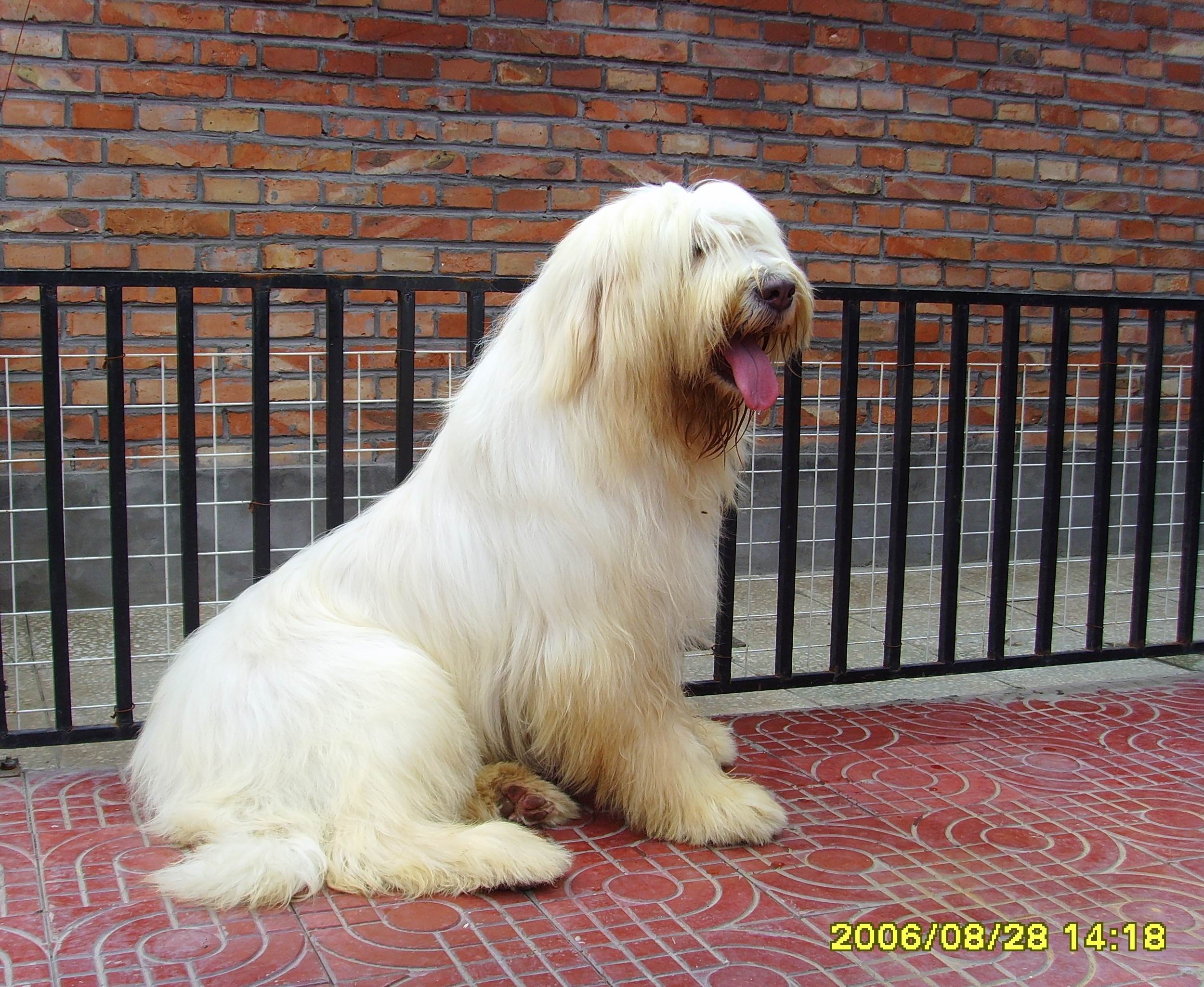 又称俄罗斯(俄语:Россия,英语:russia),简称俄联邦,俄国