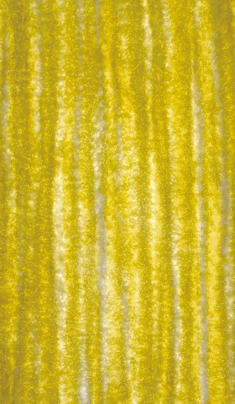  p>无色透明板内藏天然植物,板材为纯树脂,没有添加粉及其它材质.