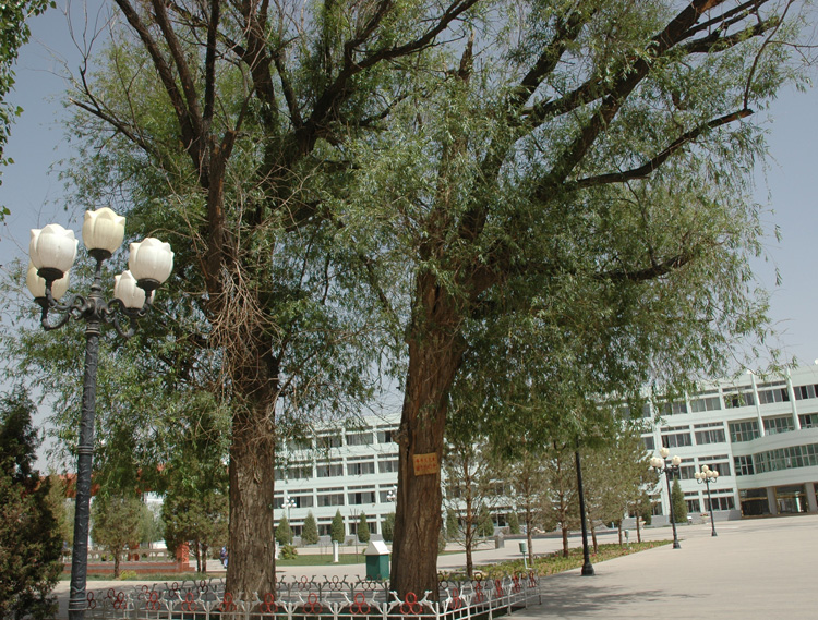 杭锦后旗奋斗中学