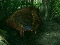  p>石炭纪(carboniferous)约处于 a href="#" data-lemmaid="2172198"