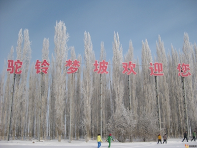 驼铃梦坡