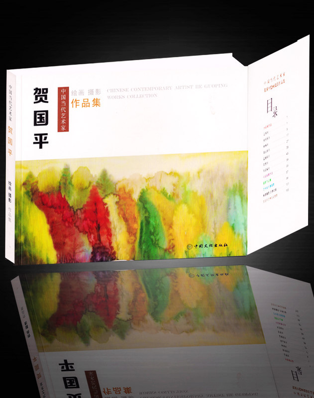 中国当代艺术家贺国平绘画摄影作品集