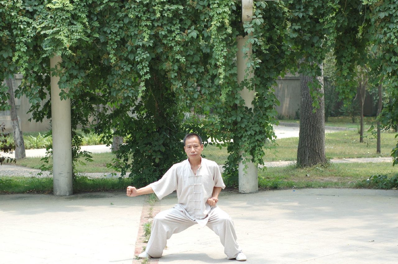  p data-id="gnyx9jl7i9">五祖拳全称五祖鹤阳拳,是一种 a target="