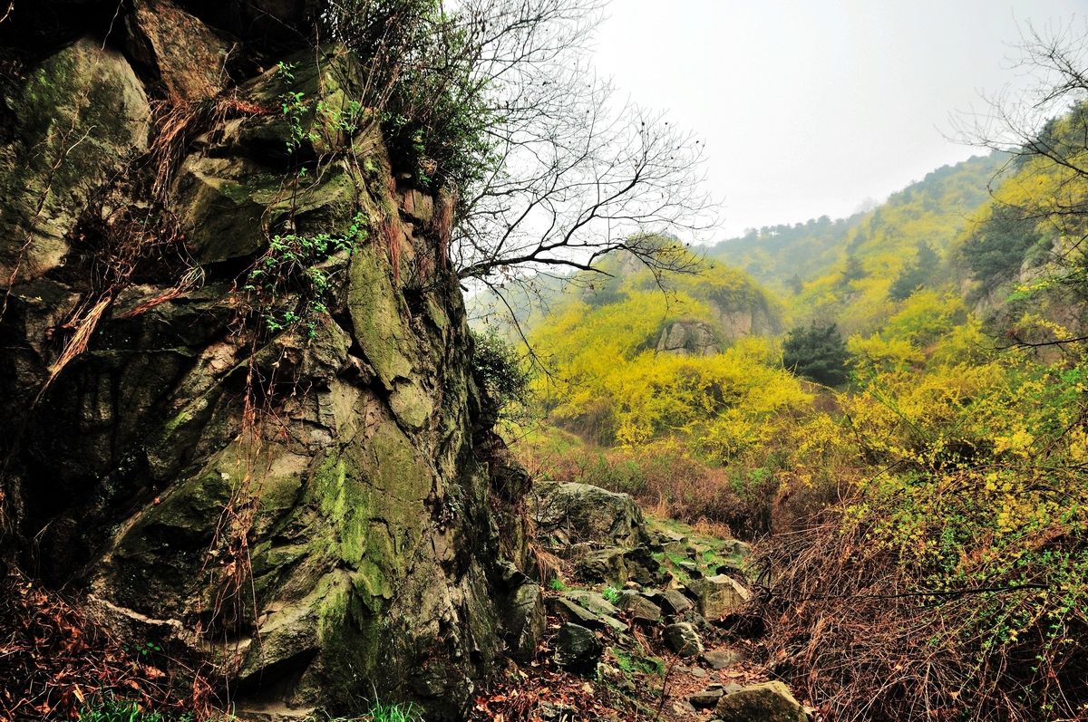  p>梯子山位于济南南部山区,西营镇降甘峪的南端,海拔976米,主峰耸入
