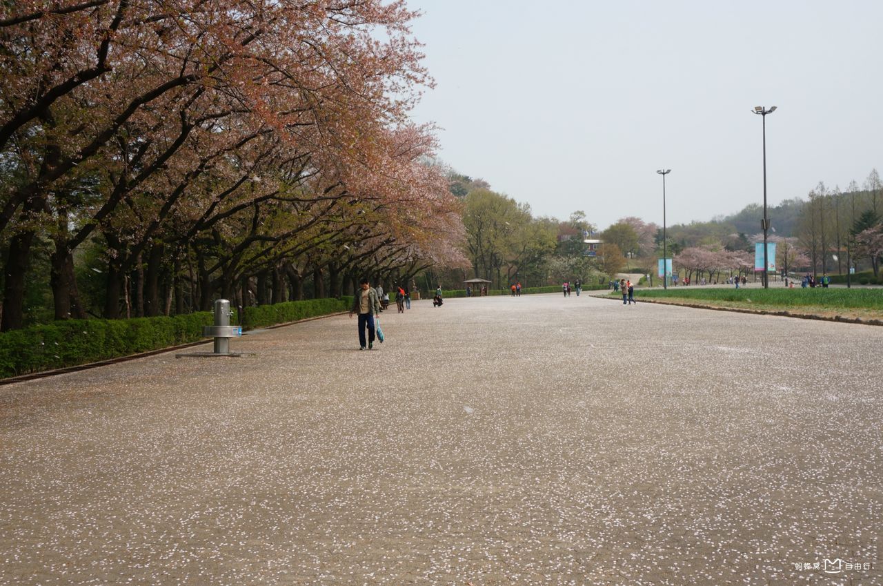  p>位于京畿道果川的首尔大公园是 a href="#" data-lemmaid="6009333