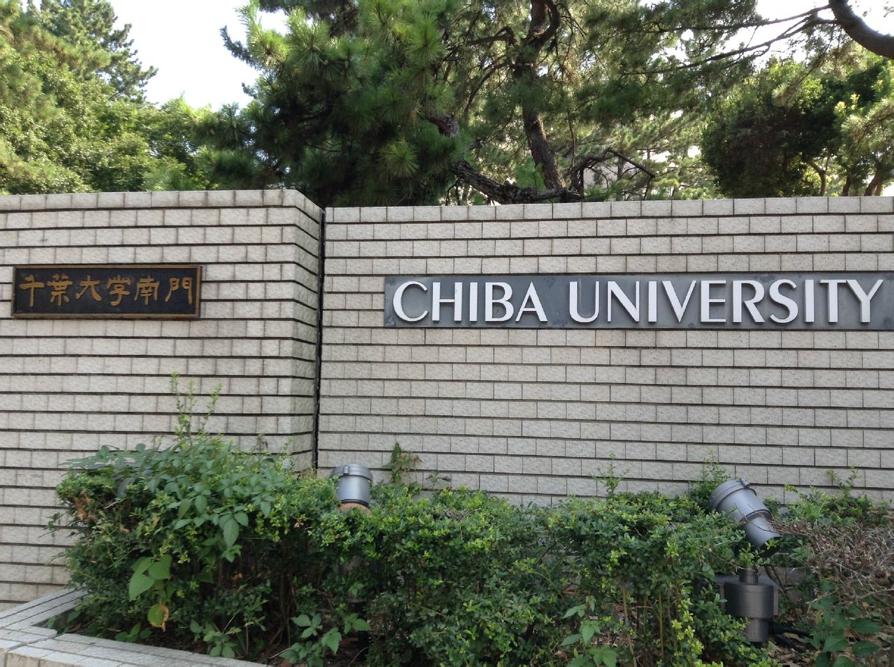 chiba university