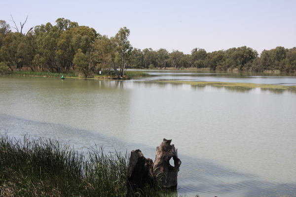 ">墨累河 /a>和 a target="_blank" href="/item/达令河/1537672"