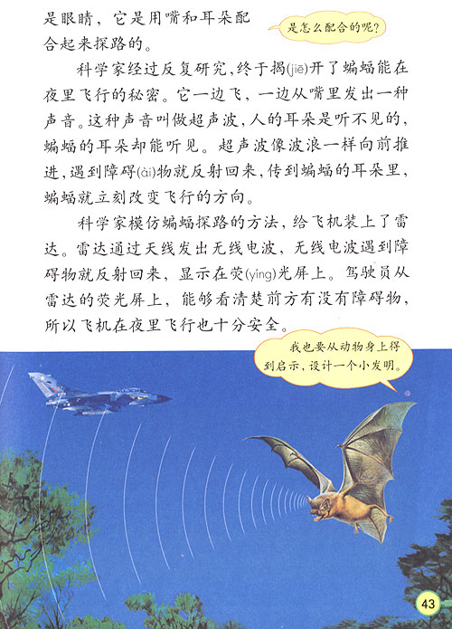 雷达和蝙蝠