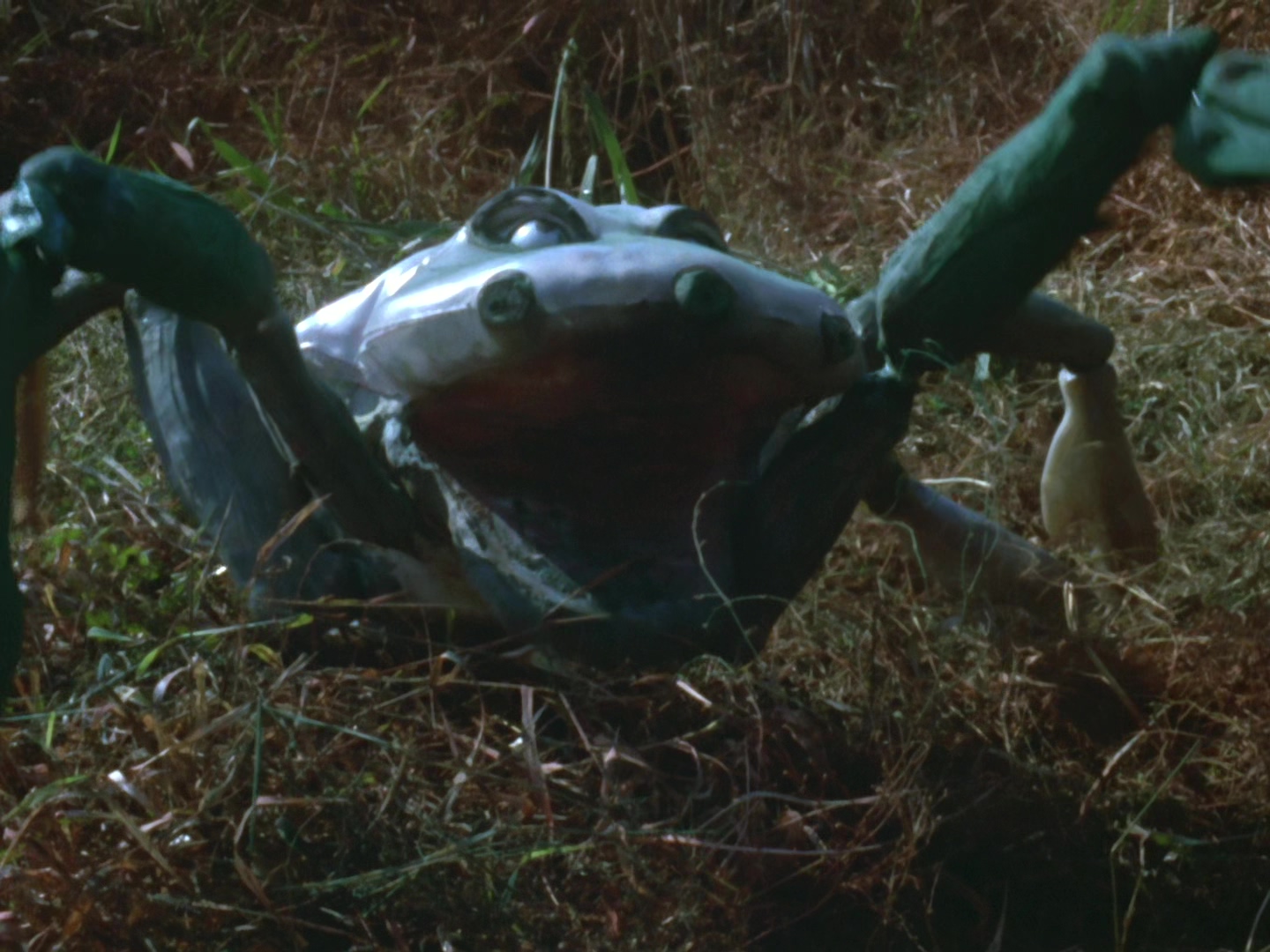  p>古蒙加,奥特曼系列怪兽,于《赛文奥特曼》tv第1