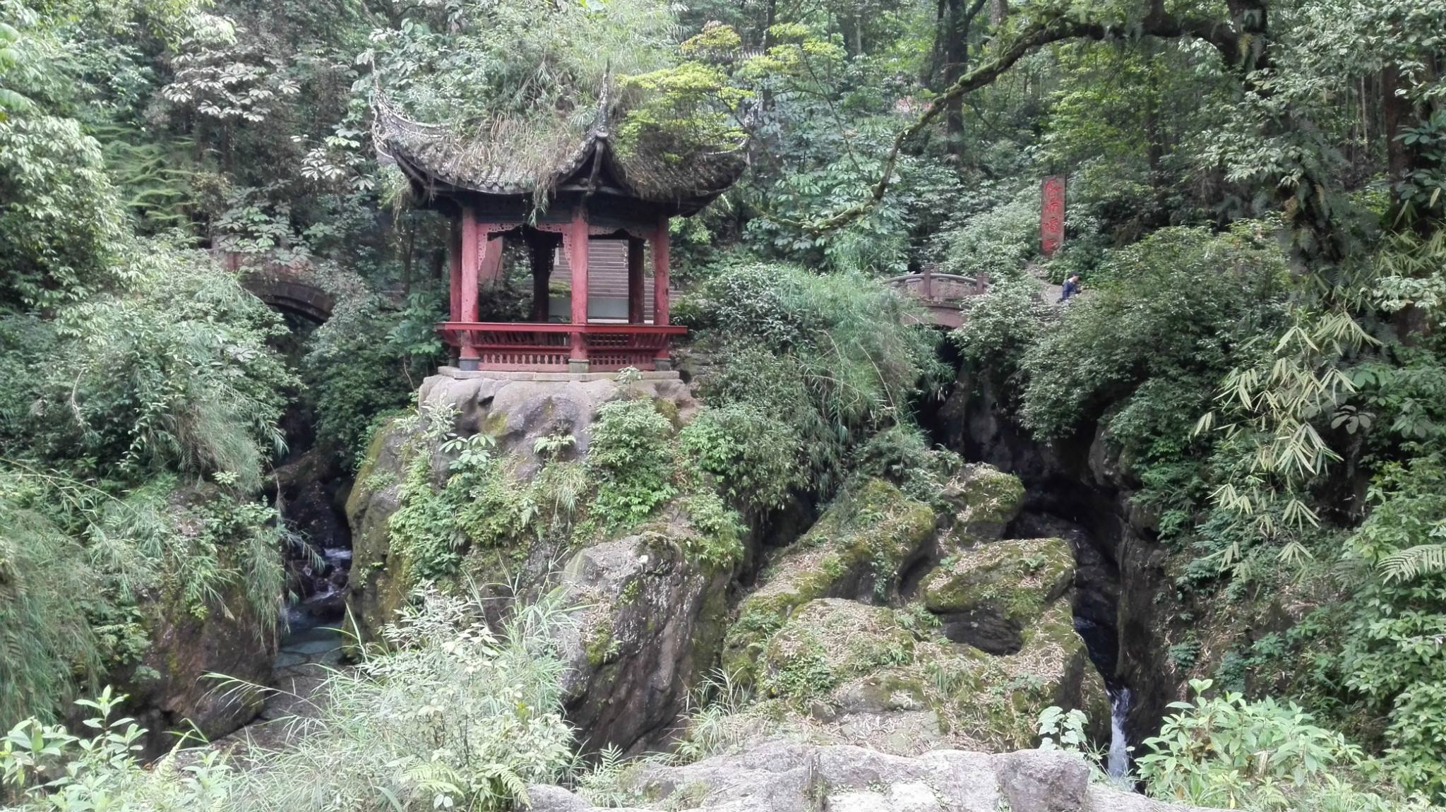  p data-id="gnvg42om14">清音阁地处峨眉山上山下山的中枢,与龙门洞