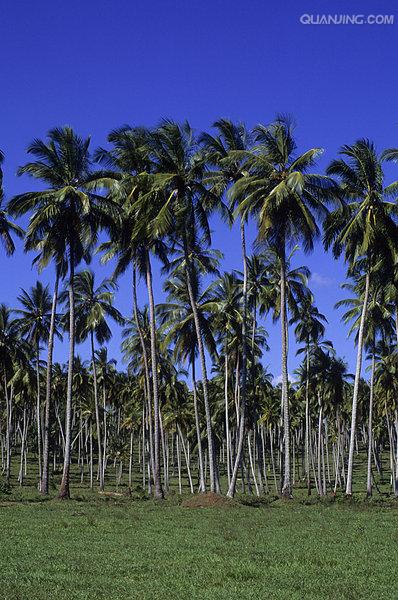  p>坦桑尼亚联合共和国(英文:the united republic of tanzania),简称