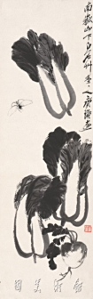 白菜萝卜