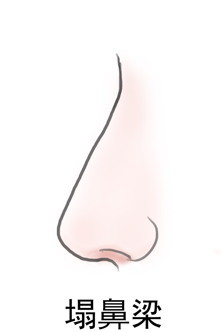  p>人们常说的塌鼻梁,又称 a href="#" data-lemmaid="6021122">鞍鼻 