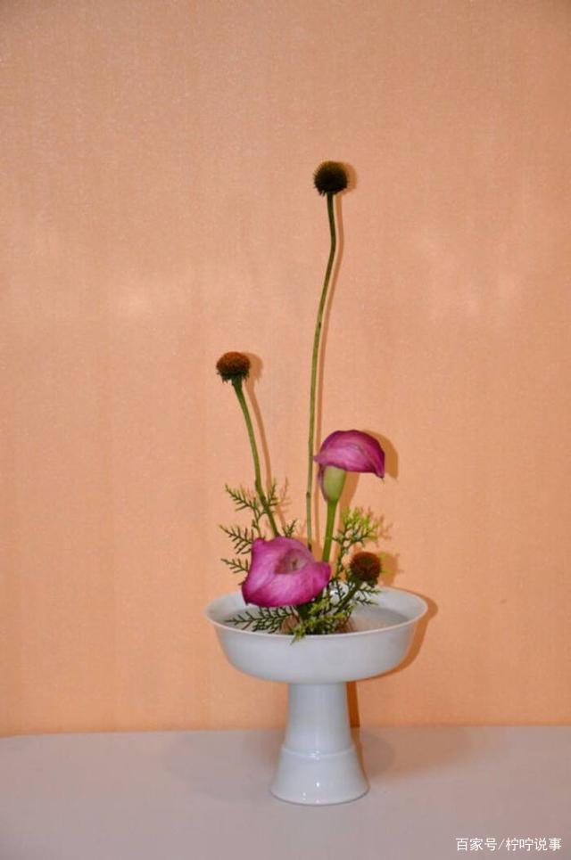 久负盛名的日本花道，从中国传统花艺文化中学到了什么？_百科TA说