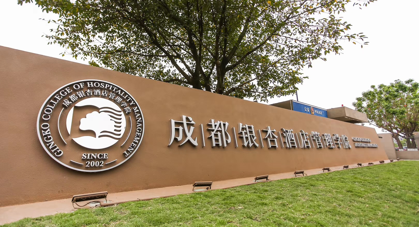 成都旅游公司(成都旅游公司招聘带车司机)