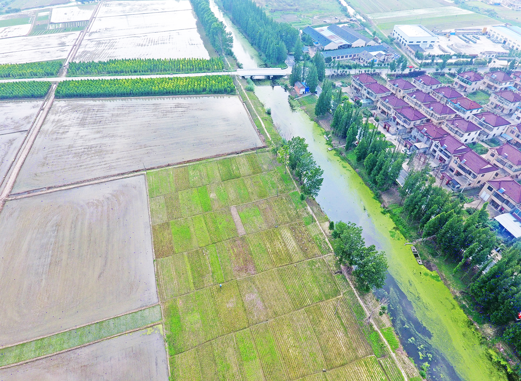  p data-id="gn35frz7em">仙河村位于东台市五烈镇政府南首,美丽传说