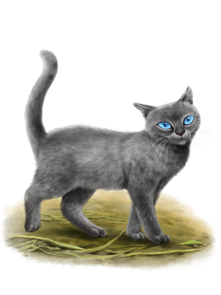  p>炭毛,英作家艾琳·亨特所著《猫武士》系列一,二部曲登场的角色