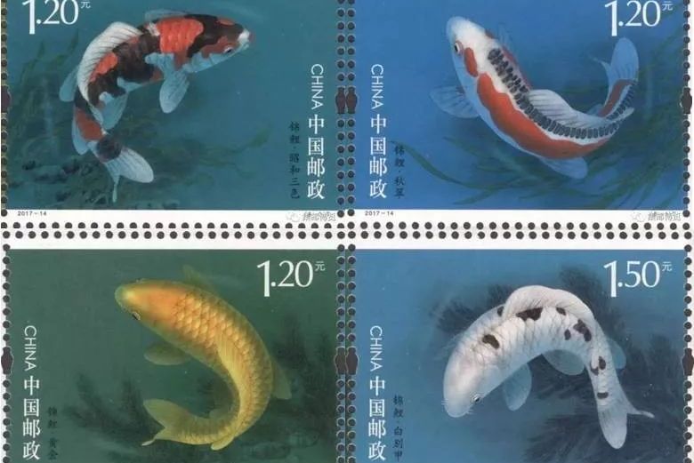  p>《锦鲤》是中国邮政计划发行的一套邮票. /p>