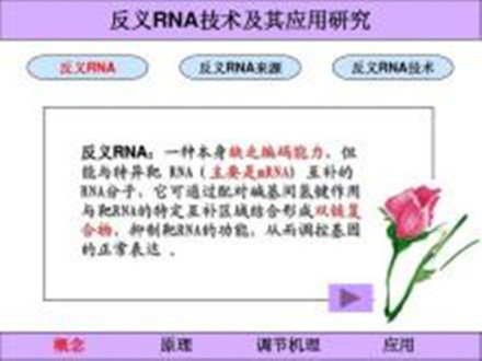 反义RNA_百度百科