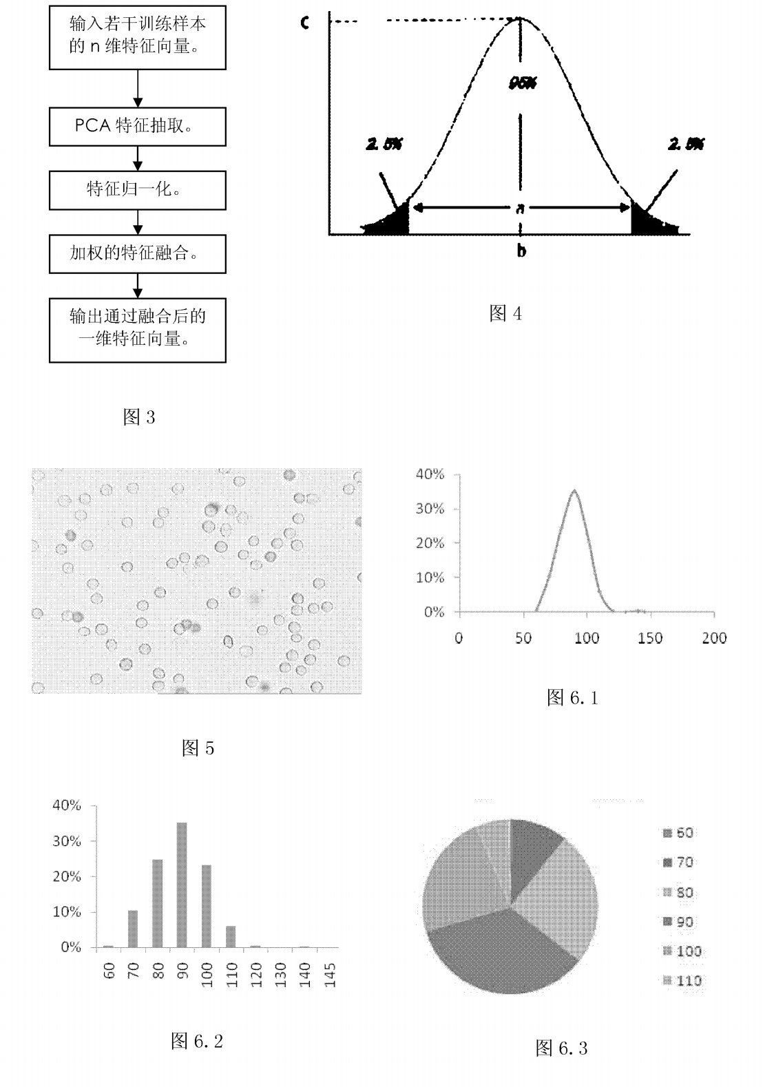 红细胞形态学分析装置及其方法