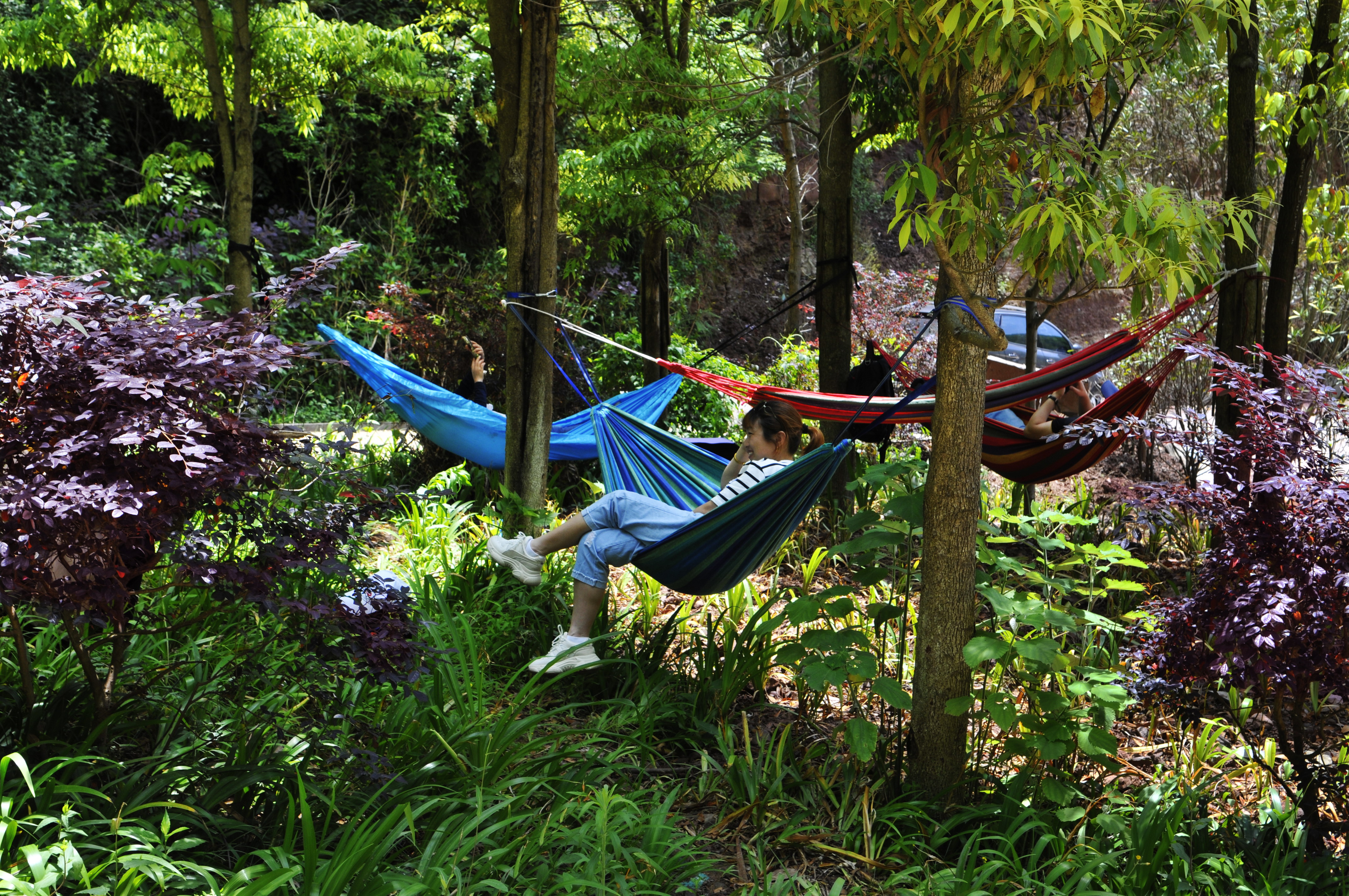  p>重庆万州三峡安澜谷,位于重庆市万州区长岭镇安溪村,是由重庆市