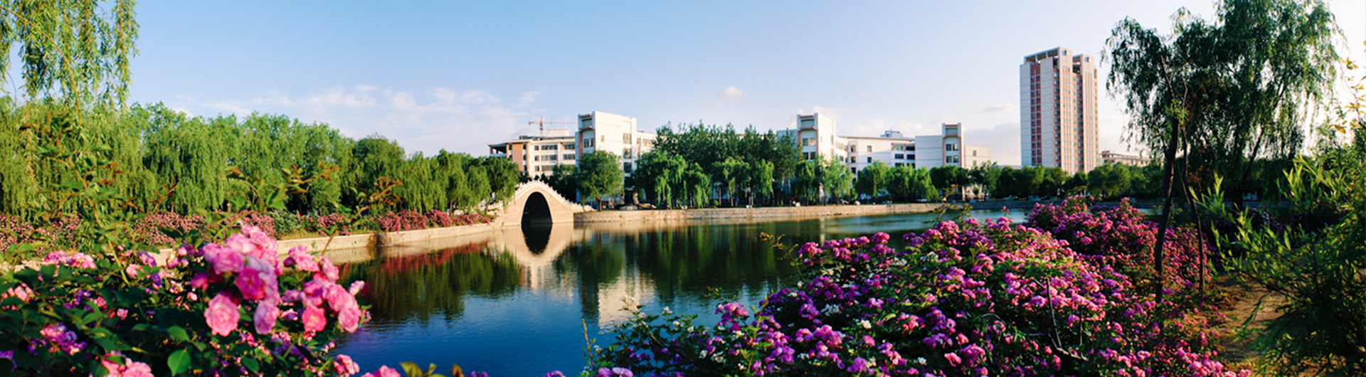 青岛农业大学化学与药学院