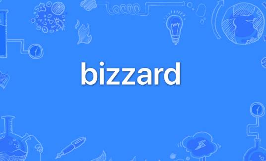 bizzard_百度百科