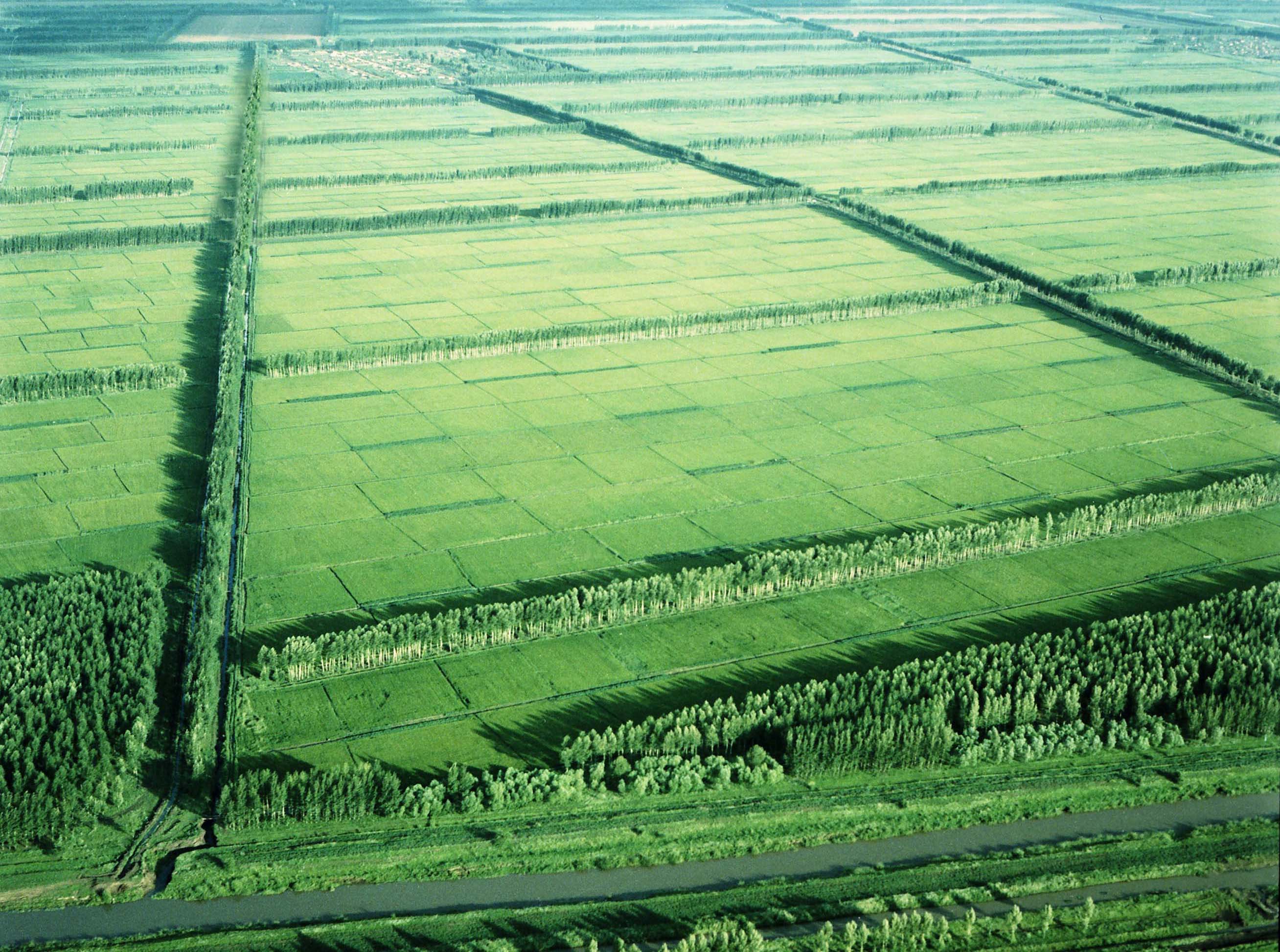 " data-lemmaid="72832">北大荒 /a>"旧指中国黑龙江省北部在三江平原