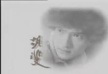 99版胡斐