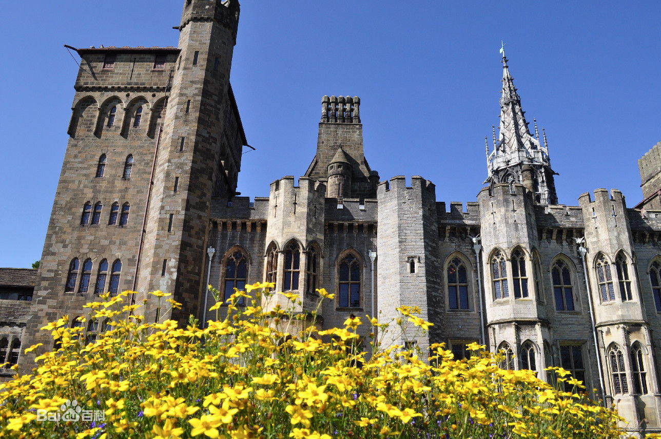  p>卡迪夫大学(英语:cardiff university,威尔士语:prifysgol caerd