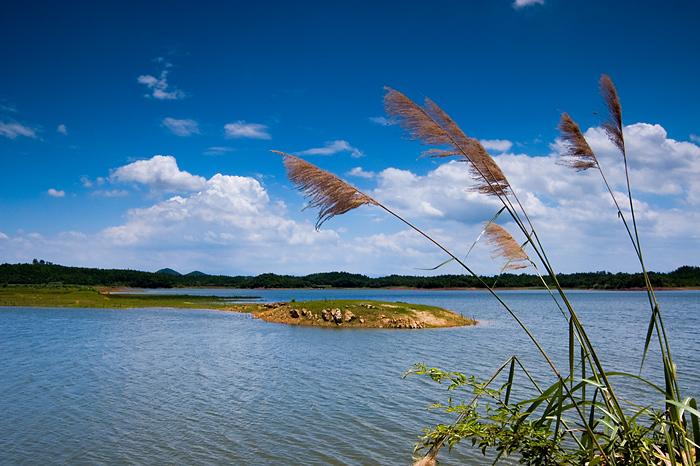 水库中国国内就有多座,分别分布在:黑龙江绥棱县,山东省淄博市沂源县