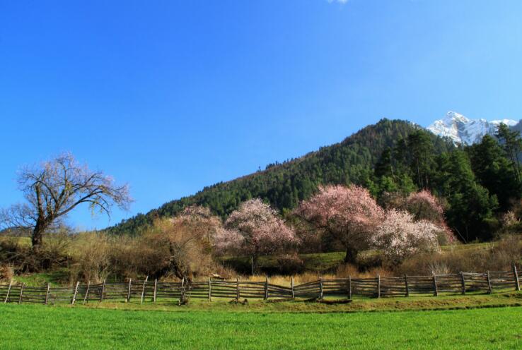岗乡自然保护区