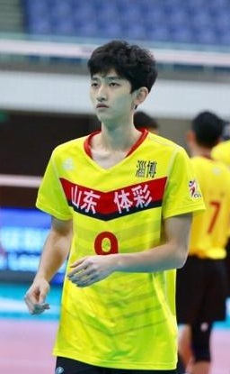 张新奕